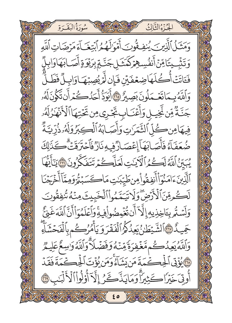 صفحة 45 من القرآن الكريم