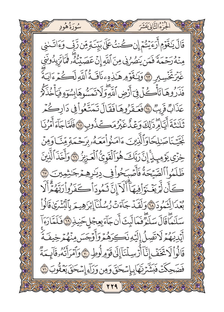 صفحة 229 من القرآن الكريم