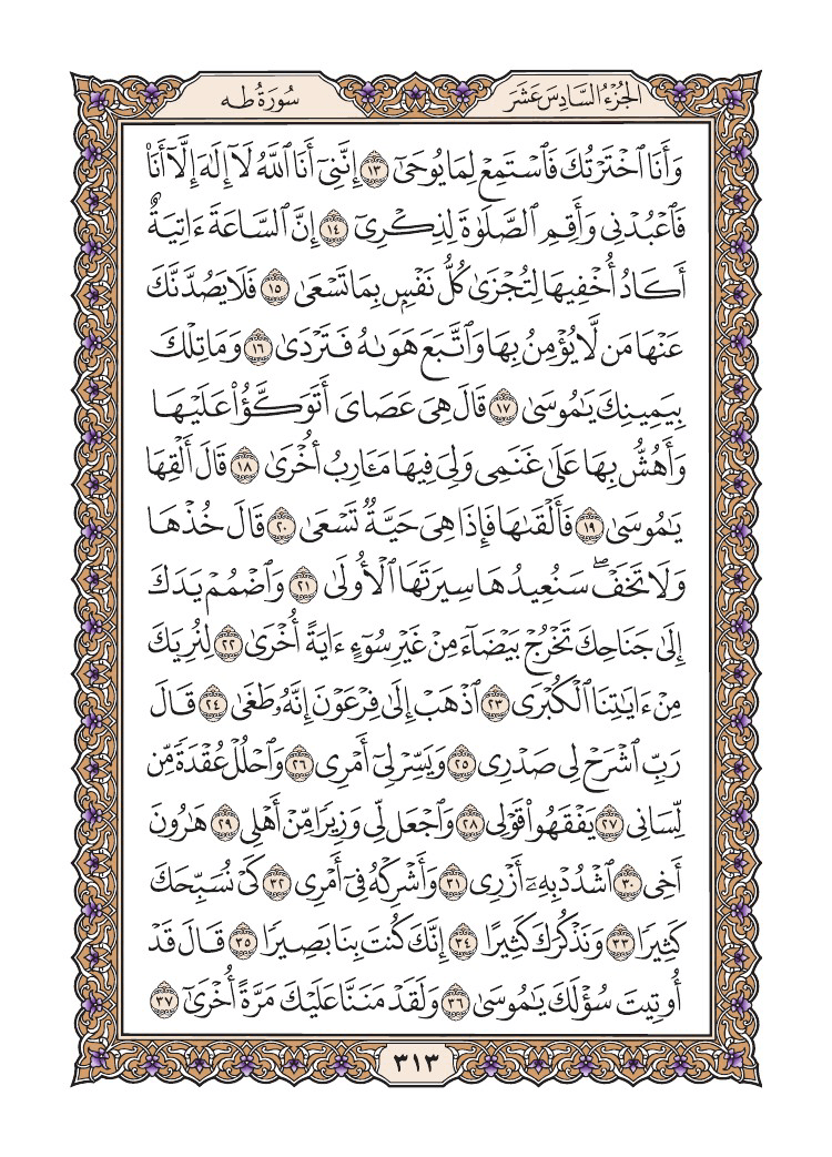 صفحة 313 من القرآن الكريم صفحة 313 من القرآن الكريم