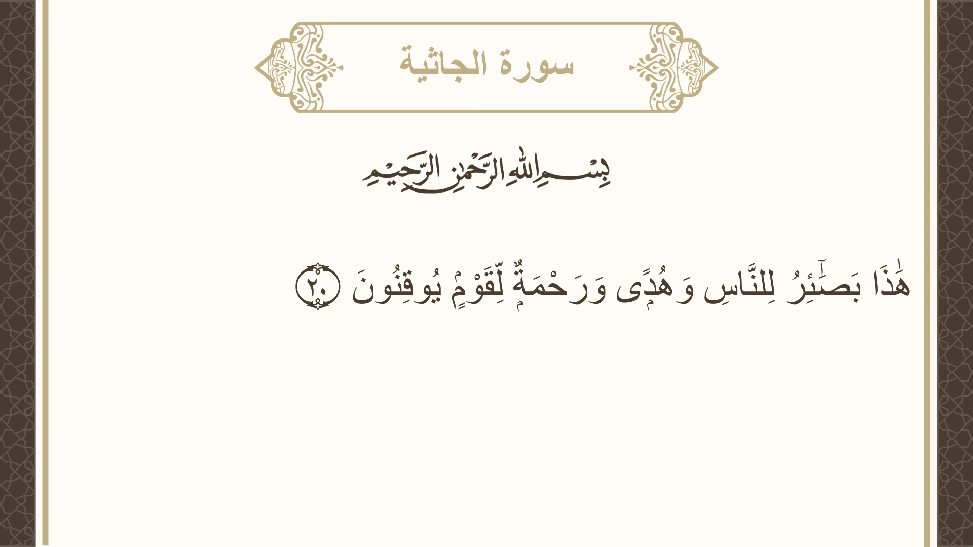 صورة سورة الجاثية الآية 20 مكتوبة بالتشكيل، صفحة 500، الجزء 25