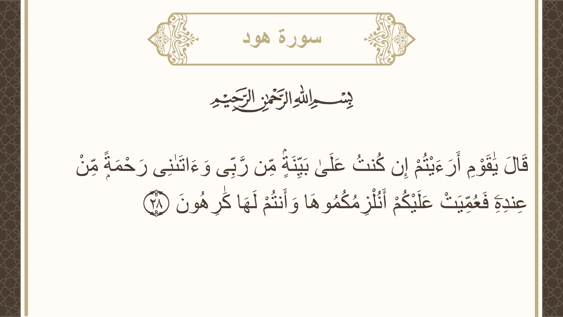 صورة سورة هود الآية 28 مكتوبة بالتشكيل، صفحة 224، الجزء 12